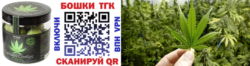 Canna-Cookies марихуана  продажа наркотиков  Весьегонск 